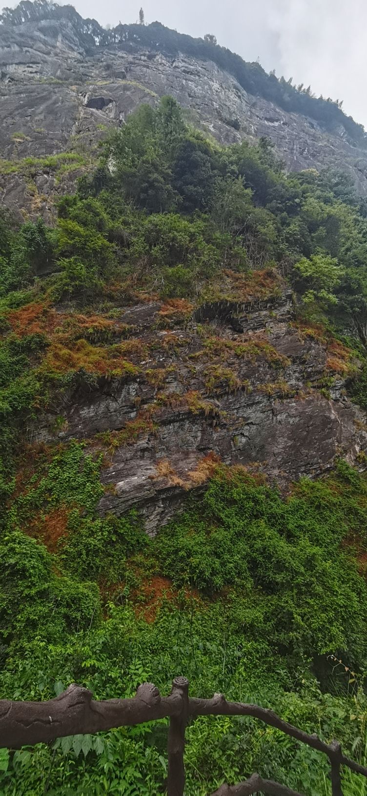 九仙岭森林公园旅行图片 2