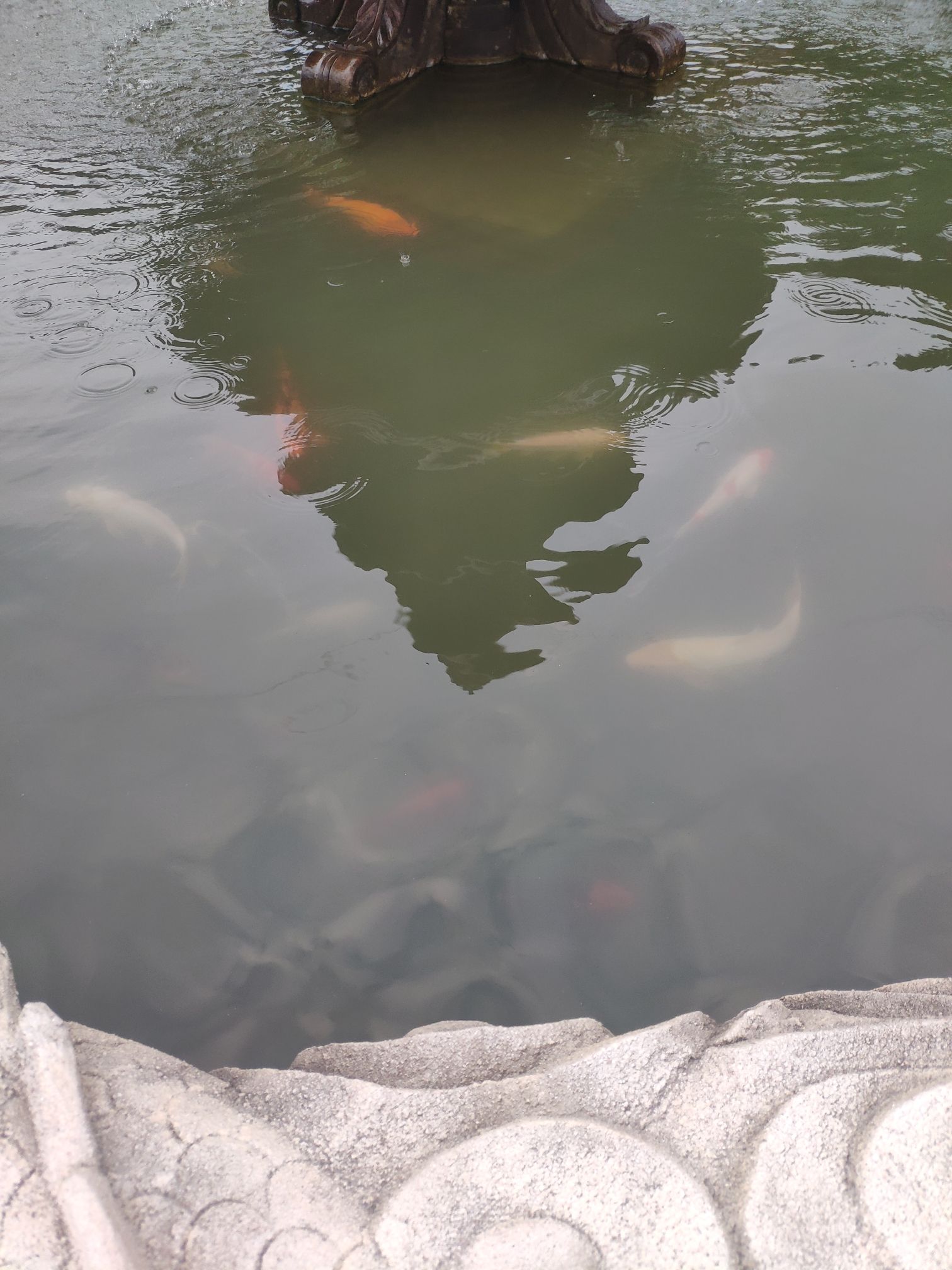 玉泉寺旅行图片 1