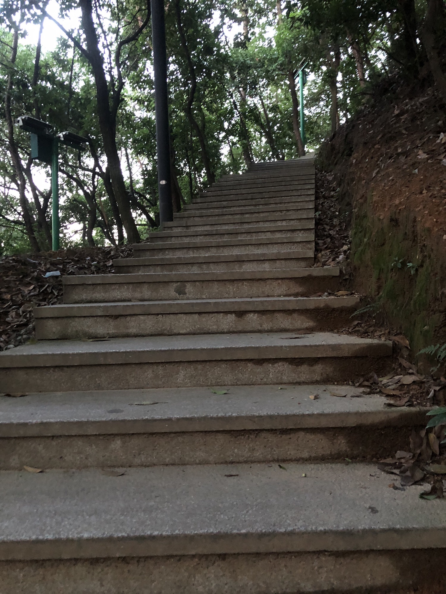 武安山森林公园旅行图片 1