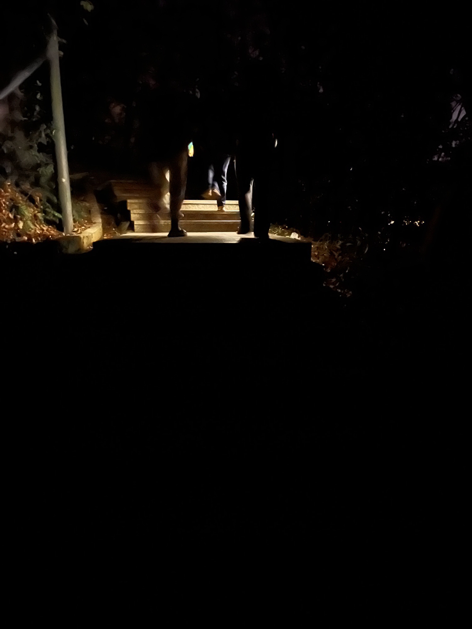 武安山森林公园旅行图片 1