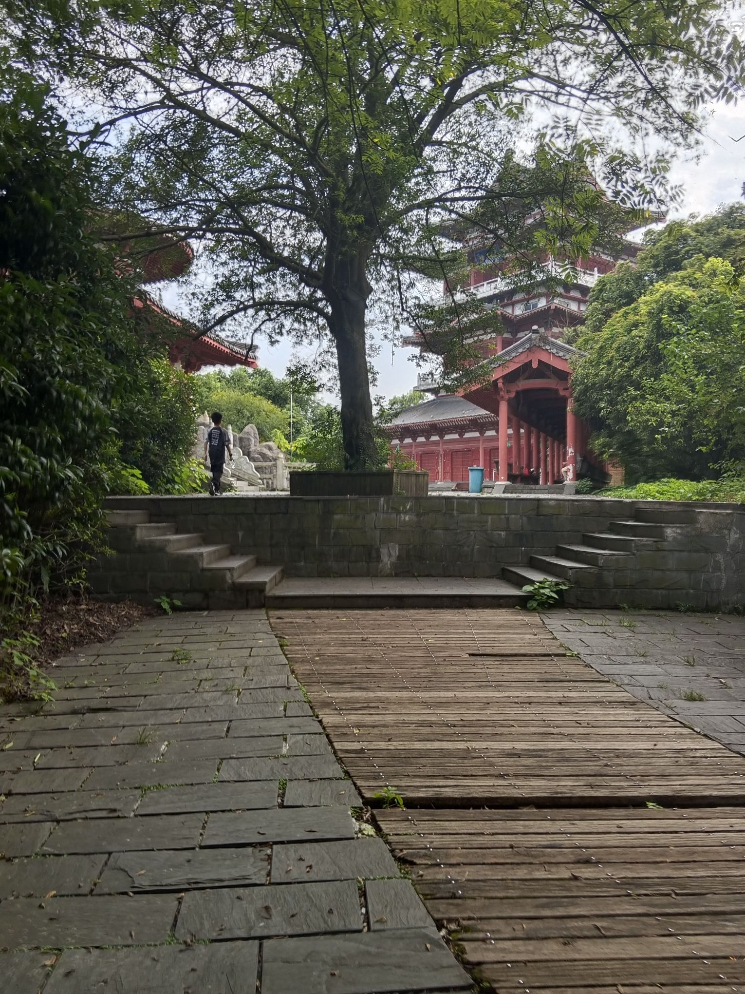 武安山森林公园旅行图片 3