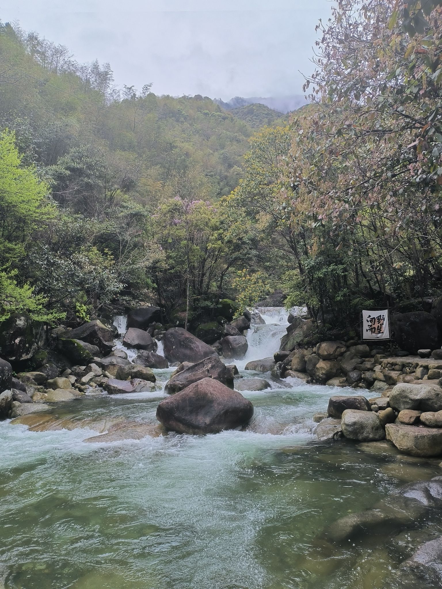 大鄣山卧龙谷旅行图片 3