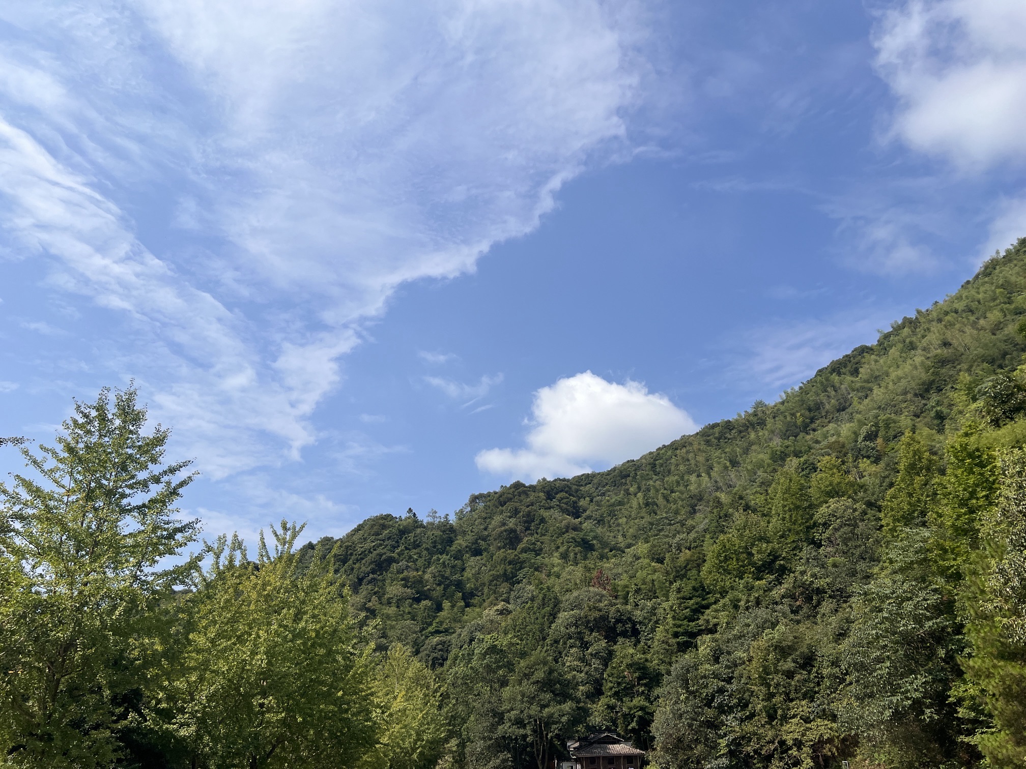 大鄣山卧龙谷旅行图片 3