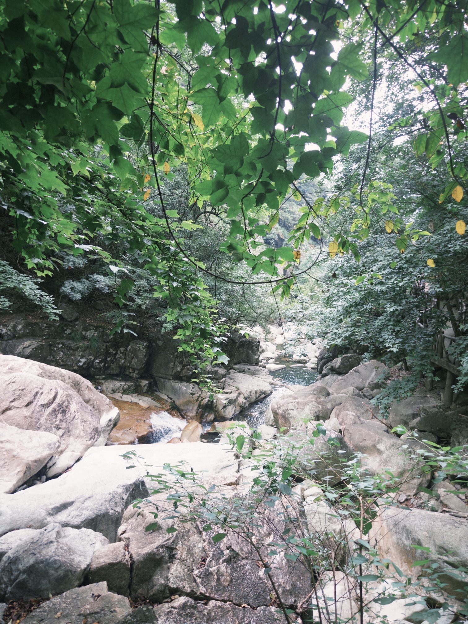 大鄣山卧龙谷旅行图片 2