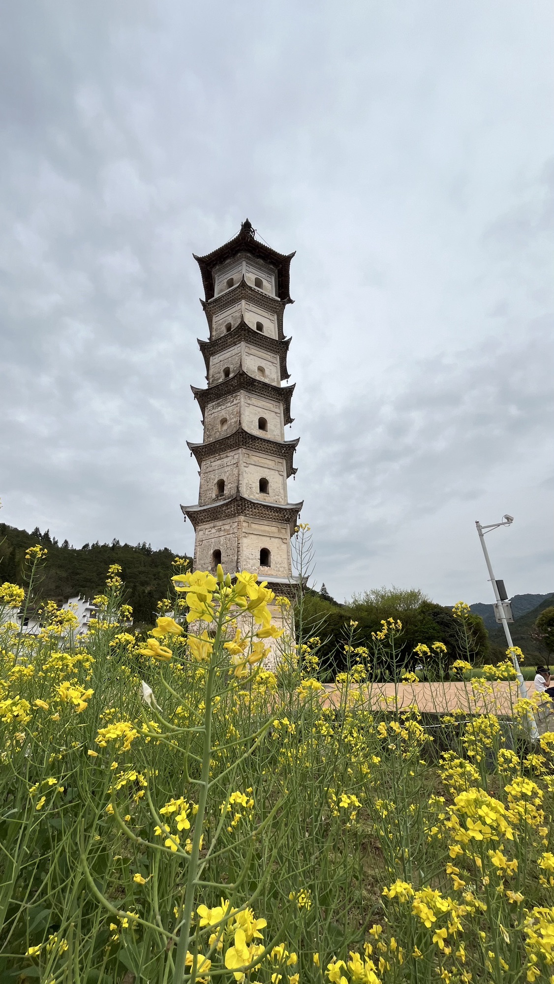 龙天塔旅行图片 3