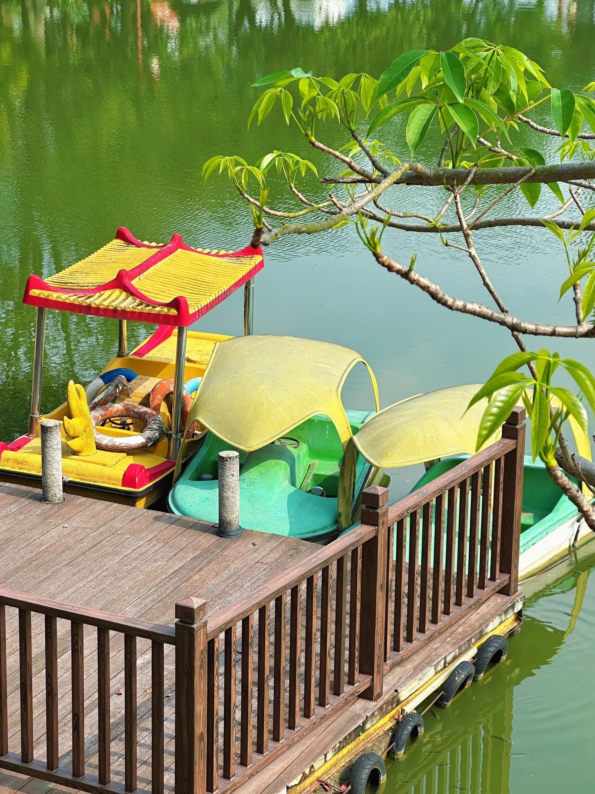 芝山公园旅行图片 1