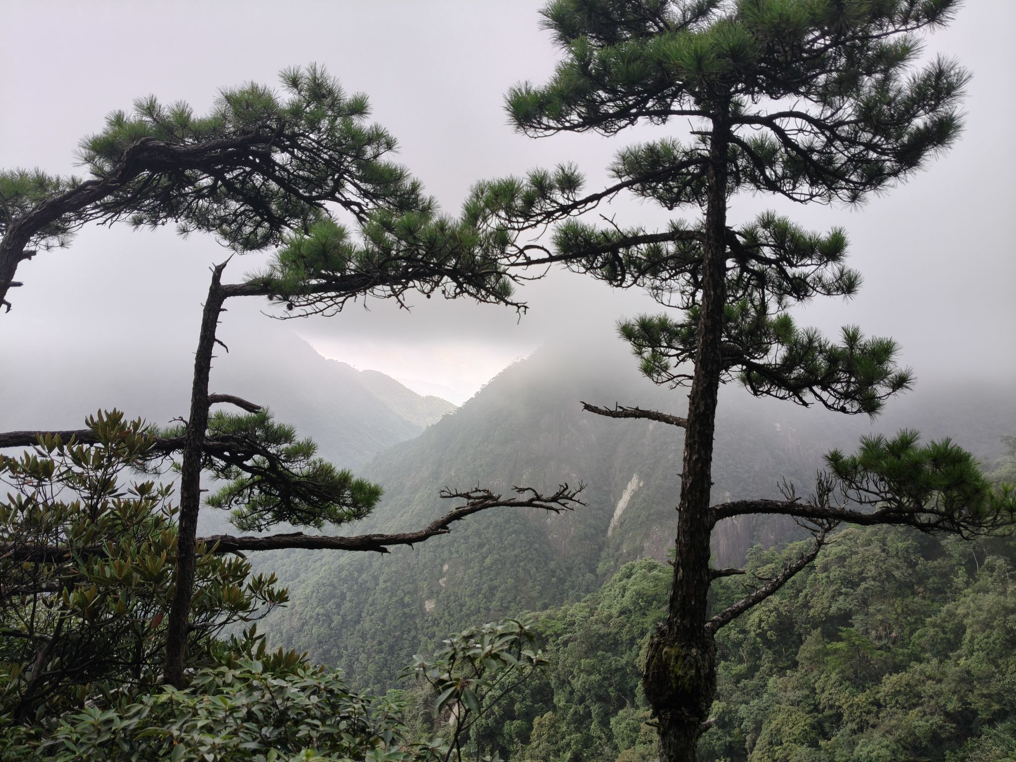 三清山国家级旅游风景区旅行图片 1