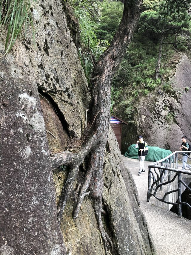 三清山国家级旅游风景区旅行图片 3