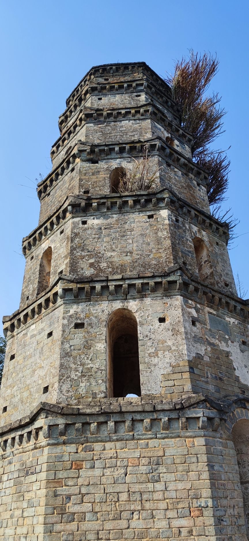 青云塔旅行图片 3