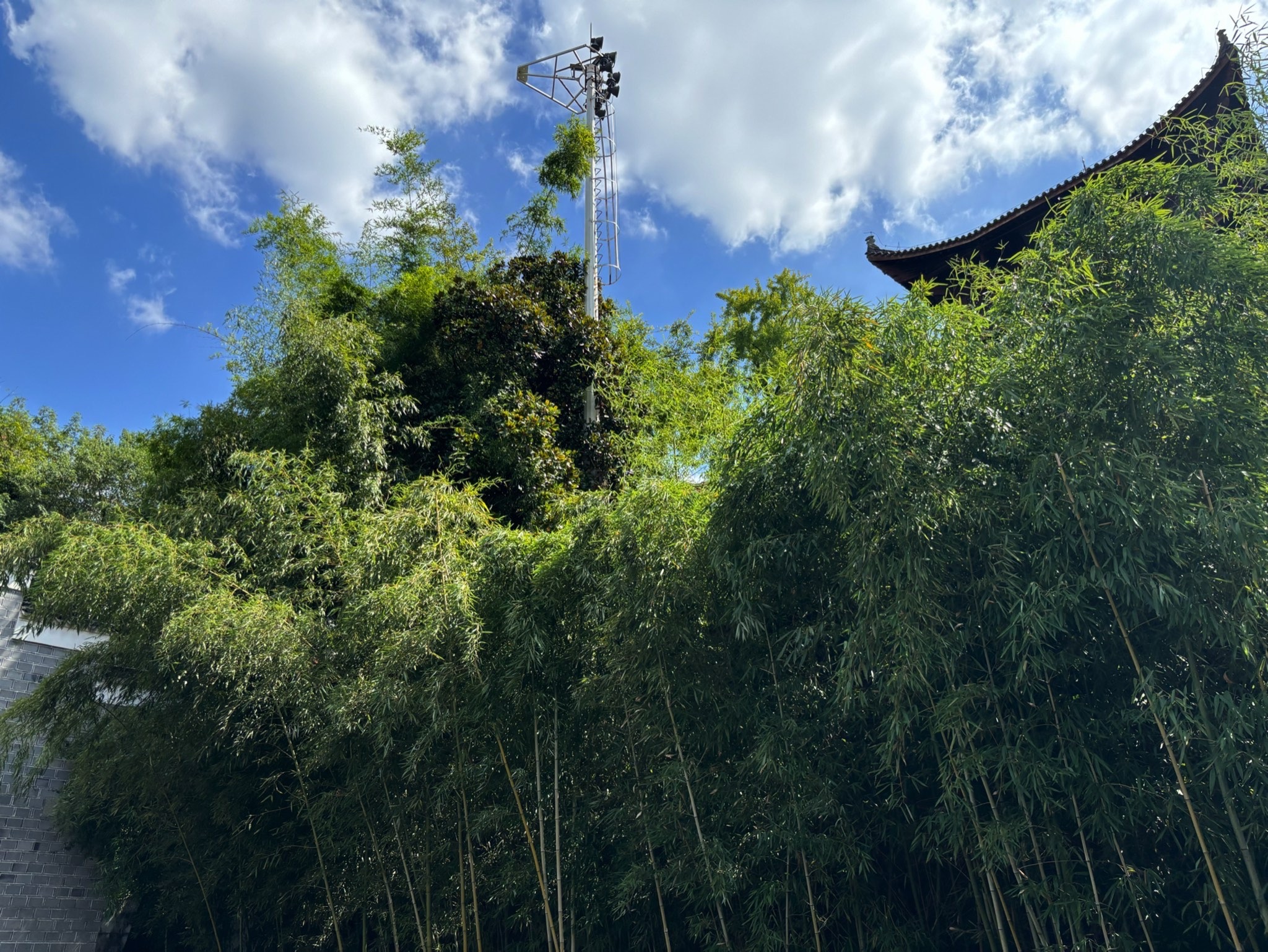 信江书院旅行图片 2