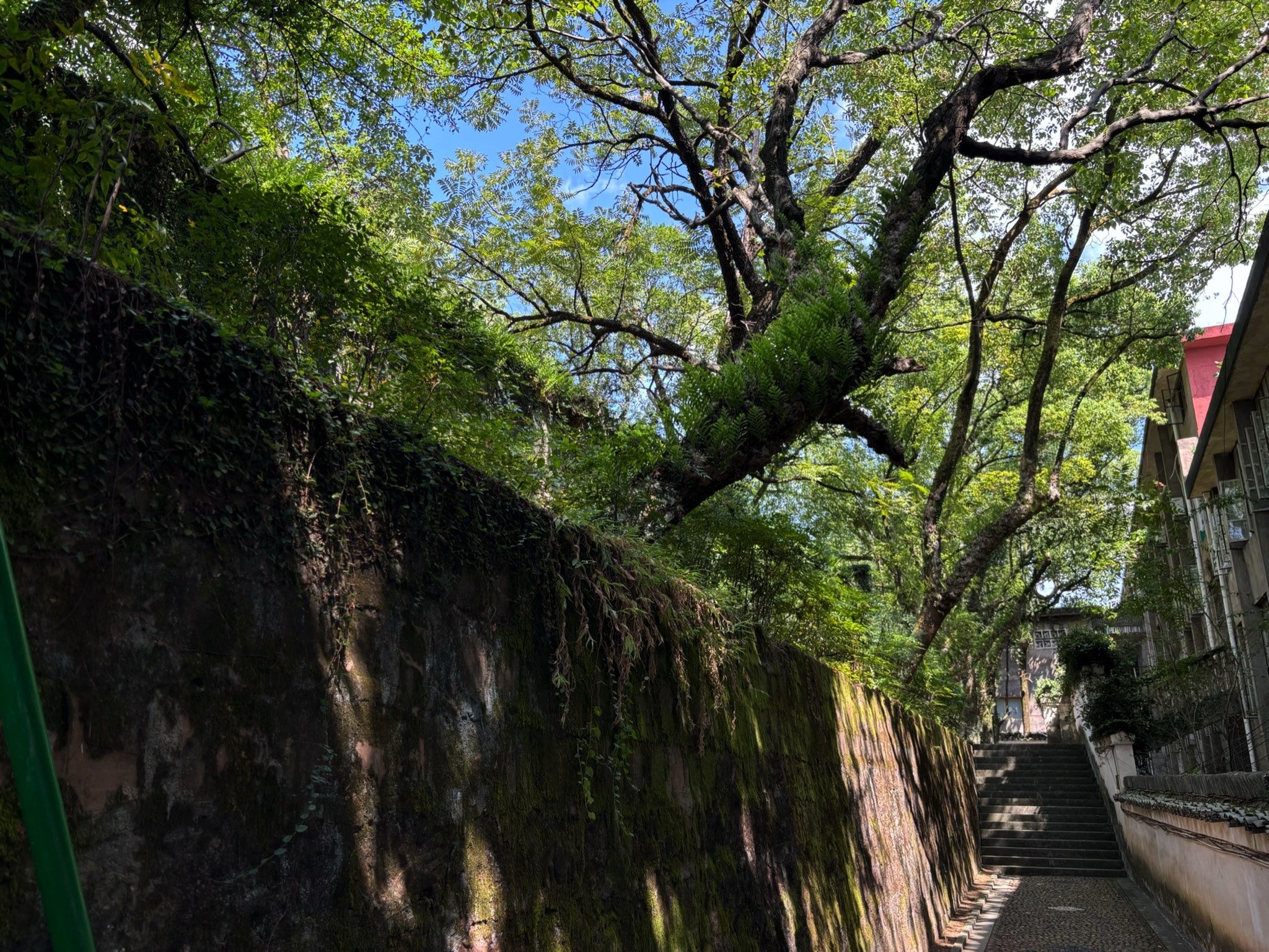 信江书院旅行图片 3
