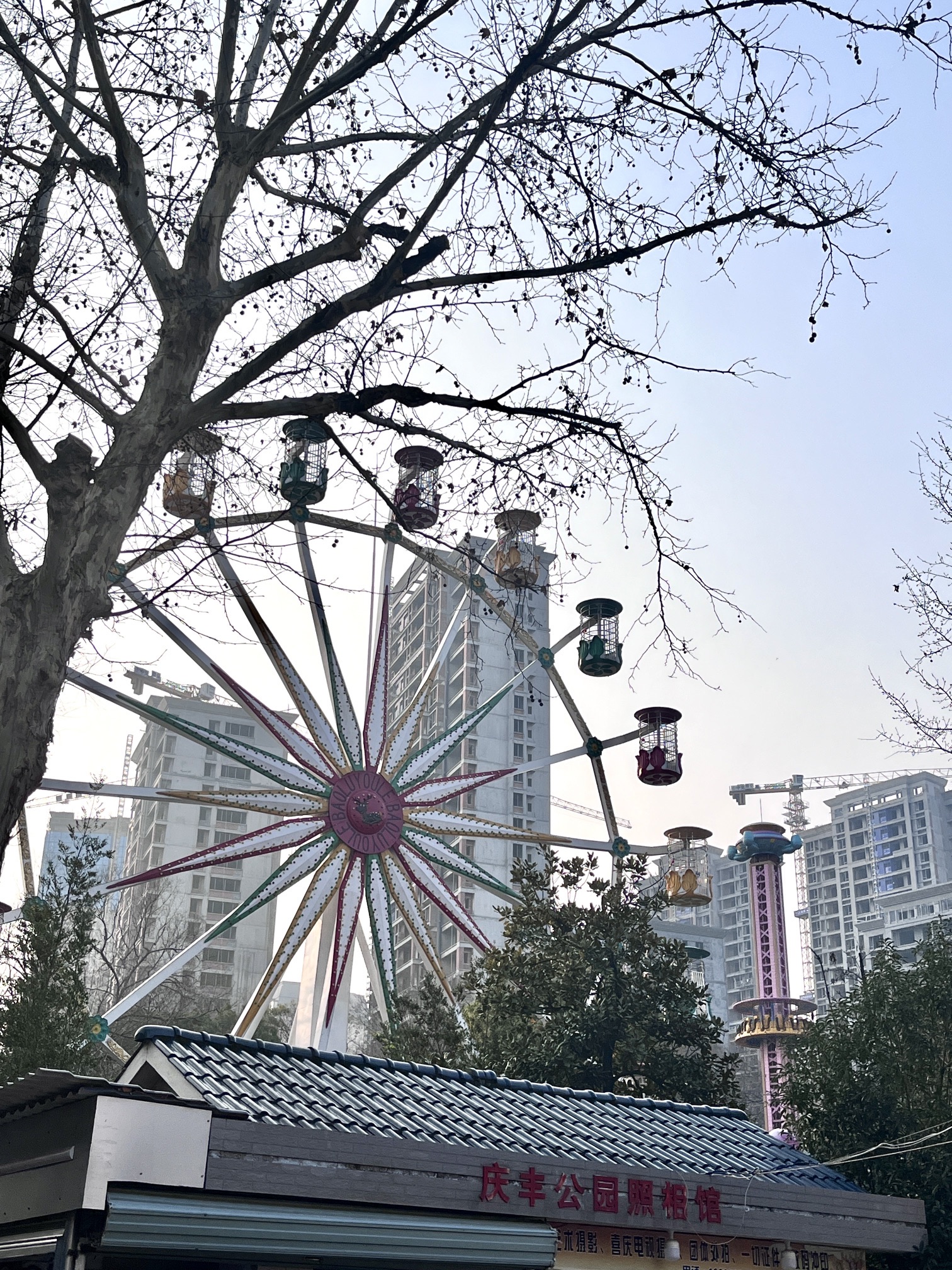 庆丰儿童公园旅行图片 1