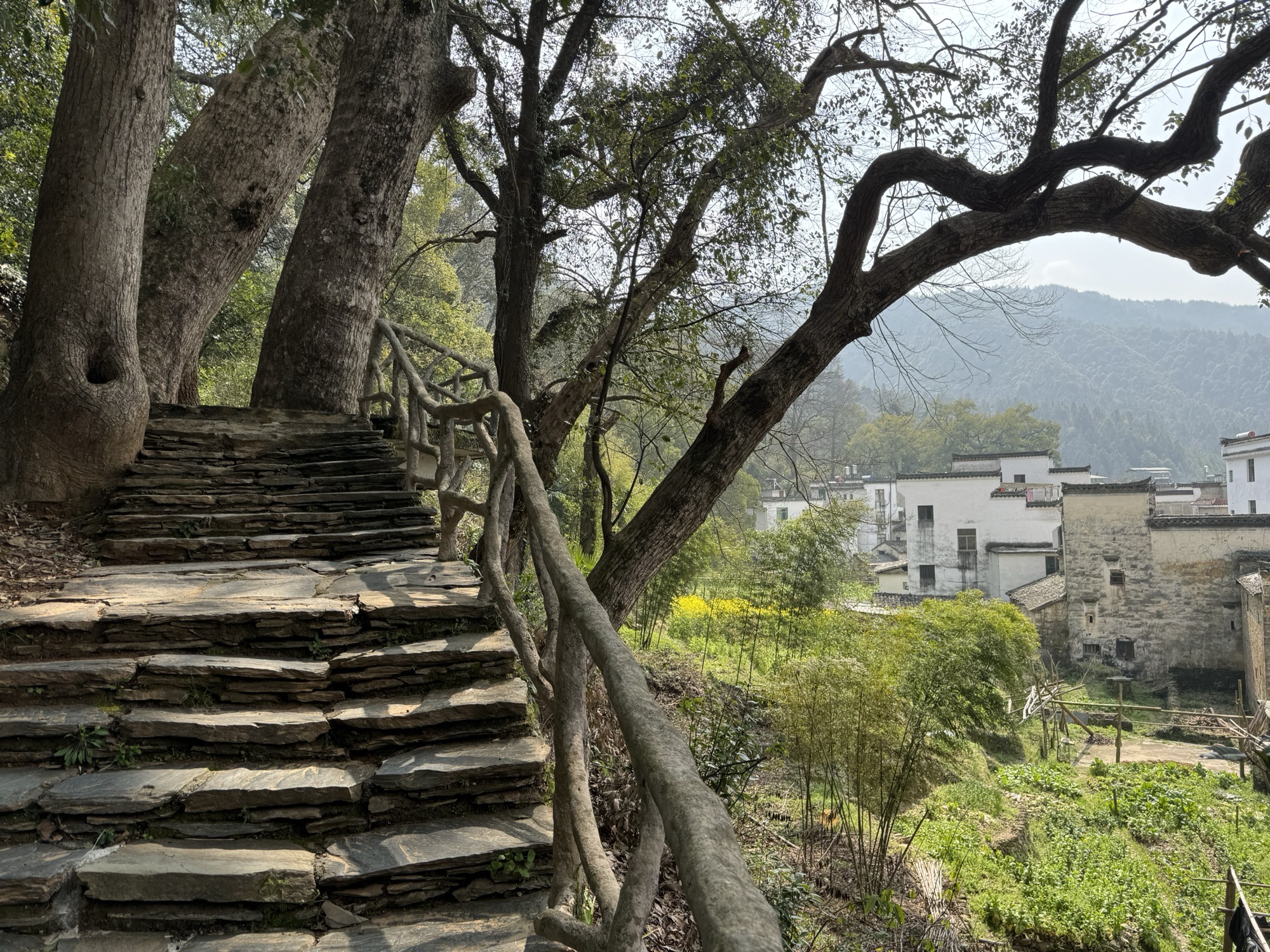 晓起村旅行图片 1