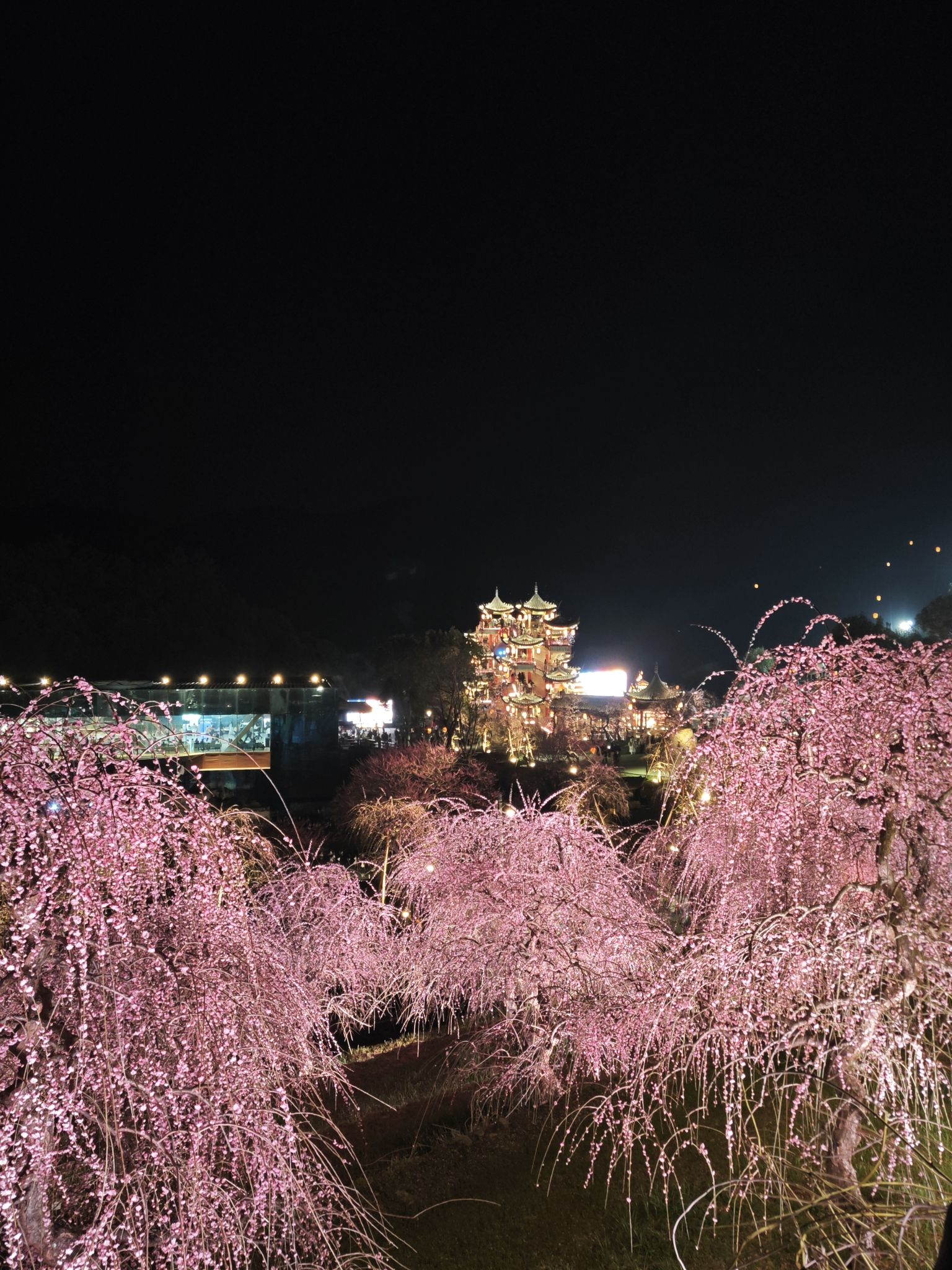 葛仙村度假区旅行图片 2