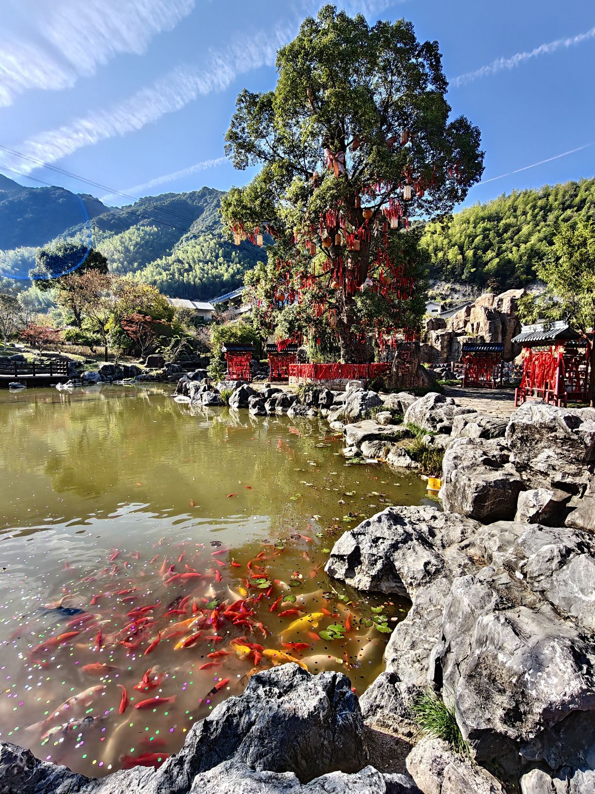 葛仙村度假区旅行图片 2