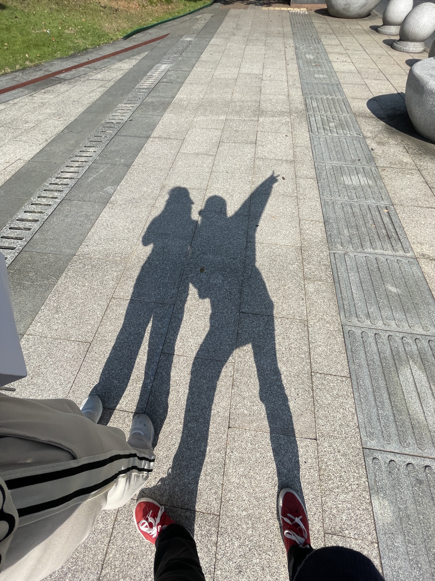 市民公园旅行图片 3