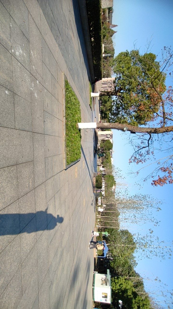 锦湖公园旅行图片 3