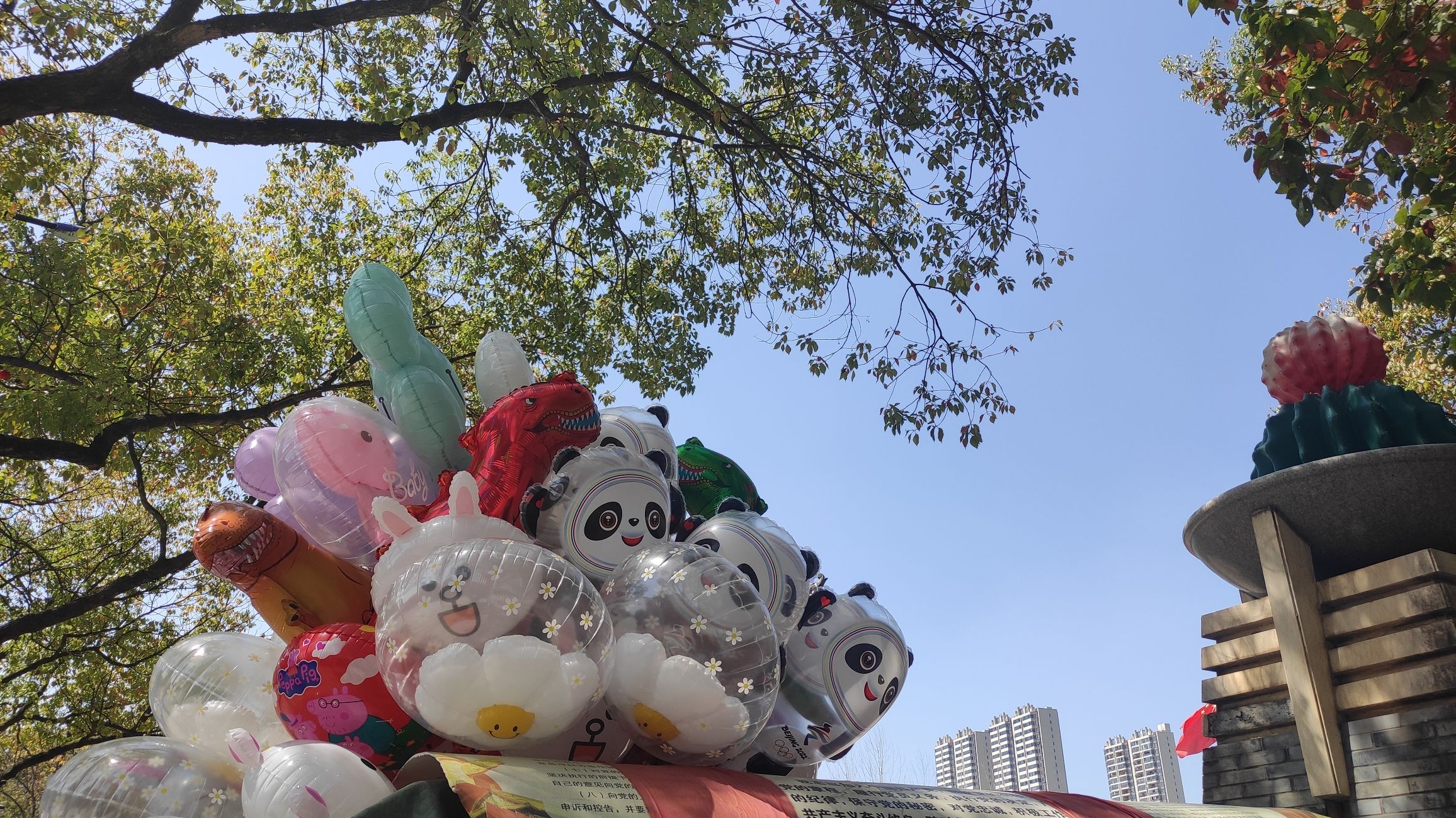 锦湖公园旅行图片 2