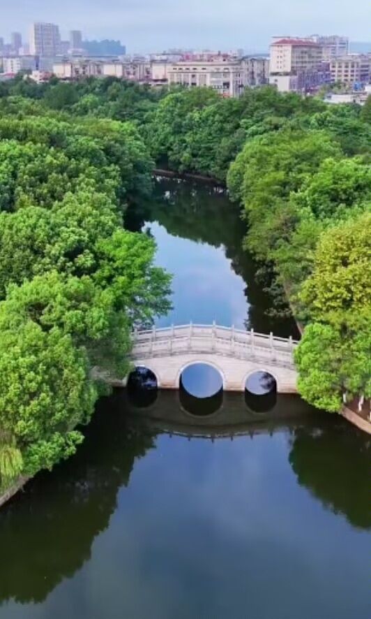 锦湖公园旅行图片 2