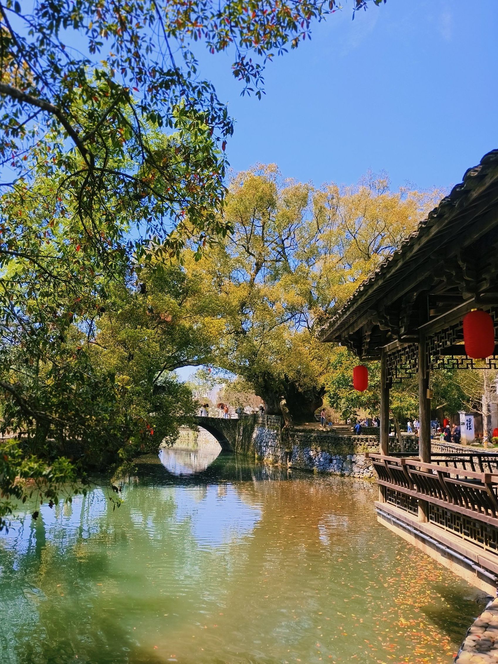 严田风景区旅行图片 2