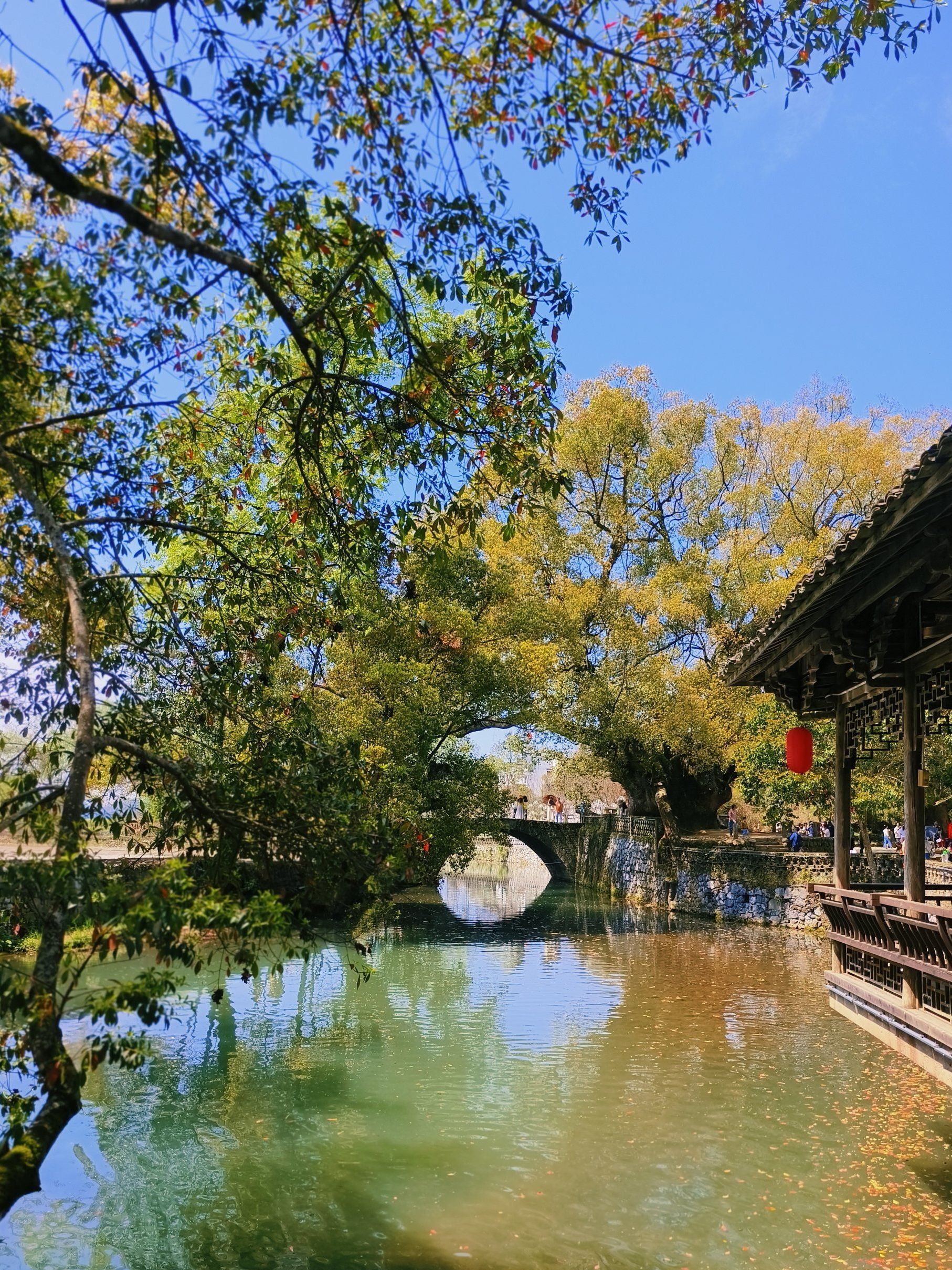 严田风景区旅行图片 3