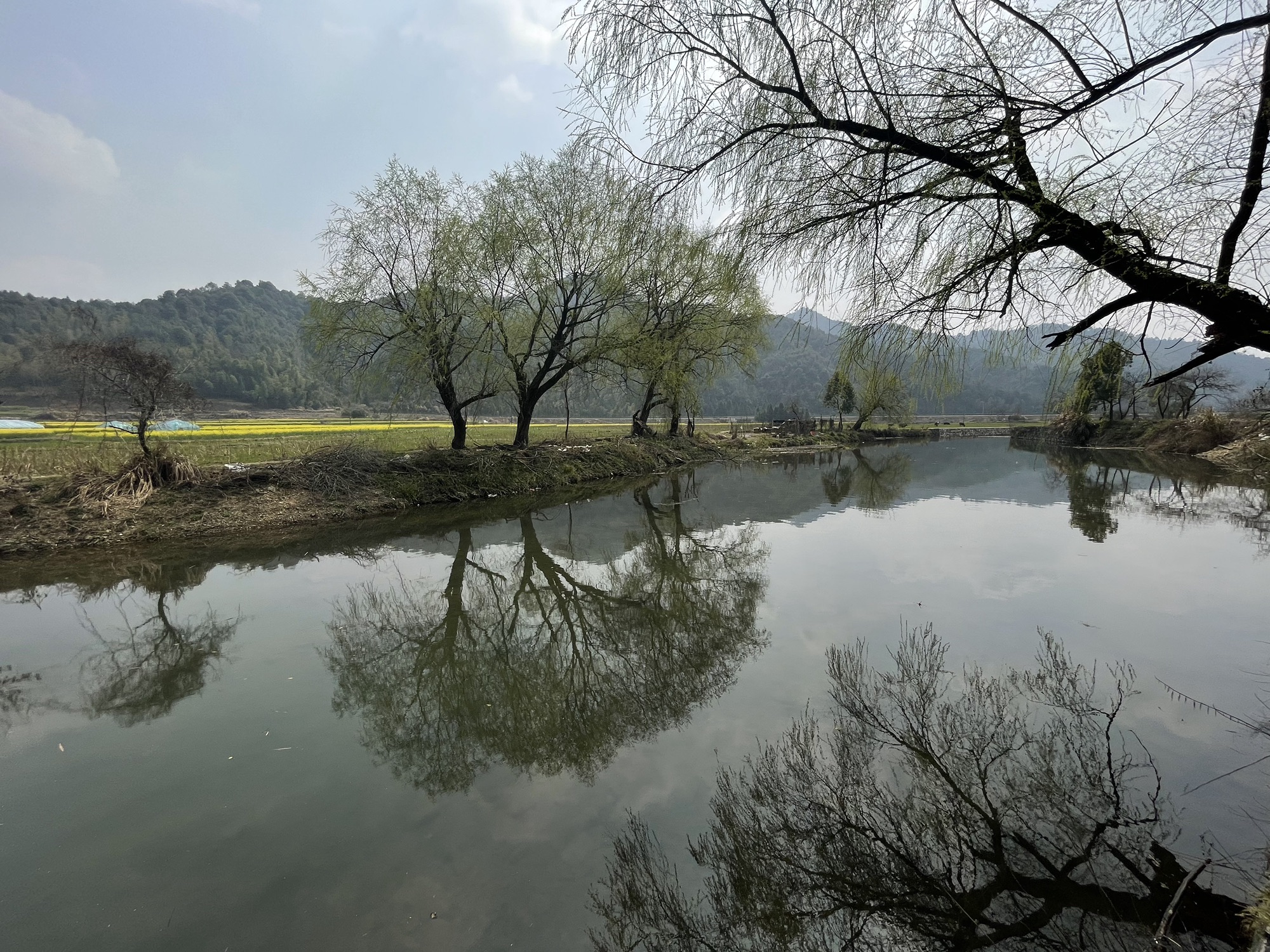 严田风景区旅行图片 1