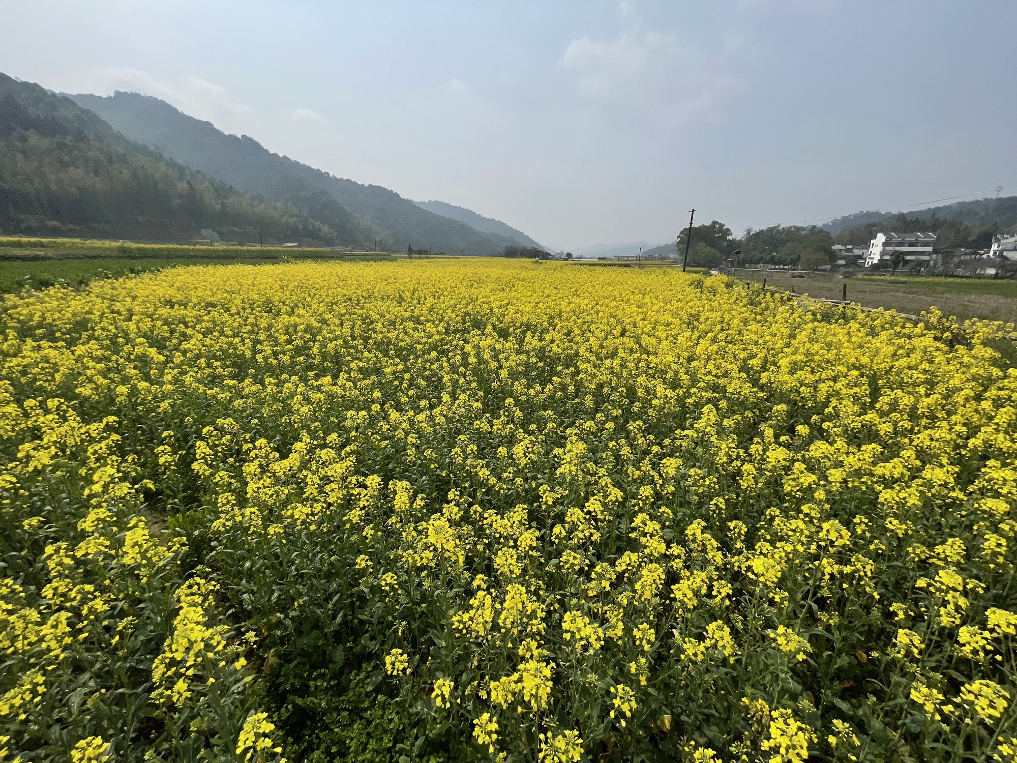 严田风景区旅行图片 2
