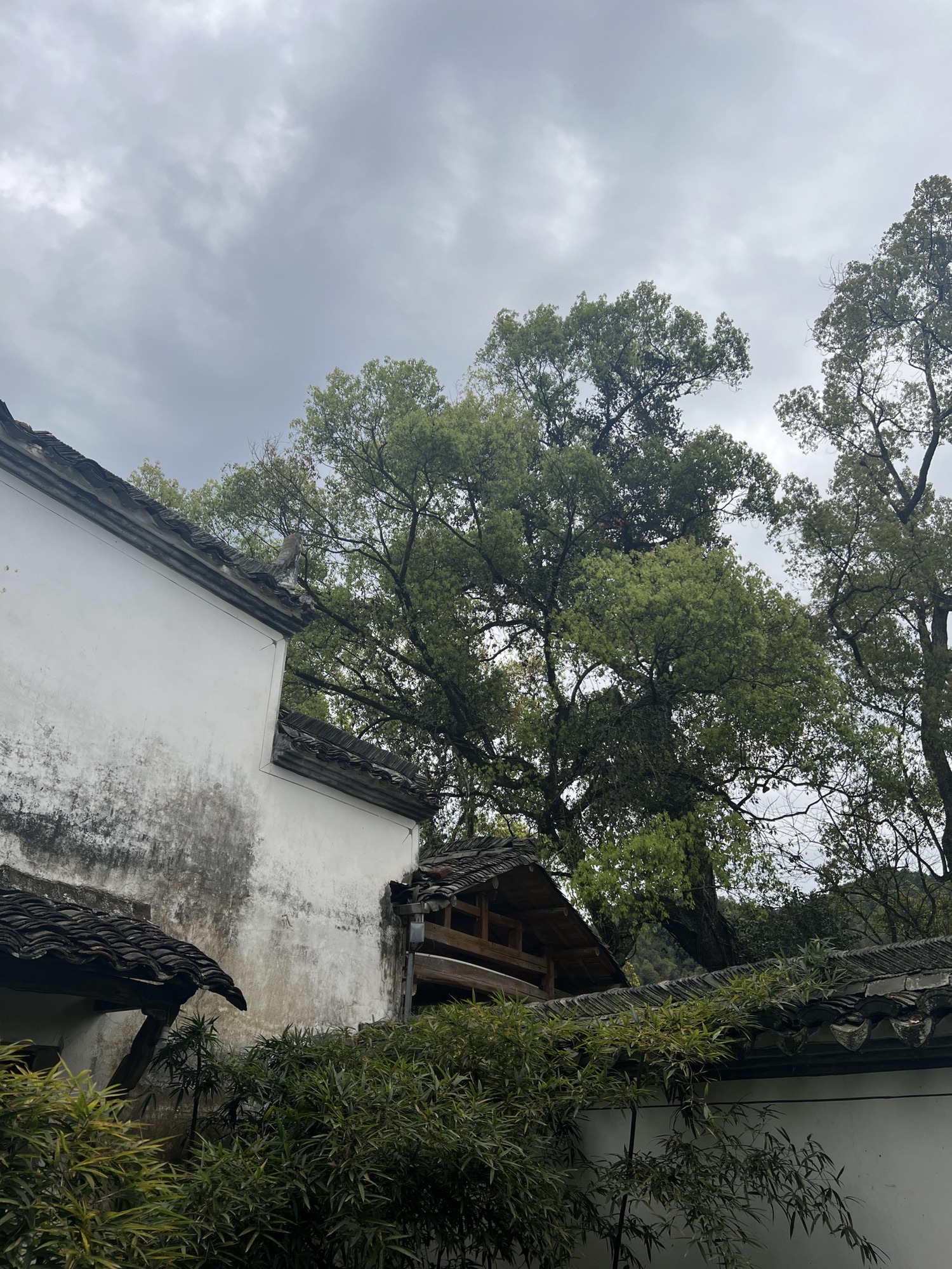 严田风景区旅行图片 3