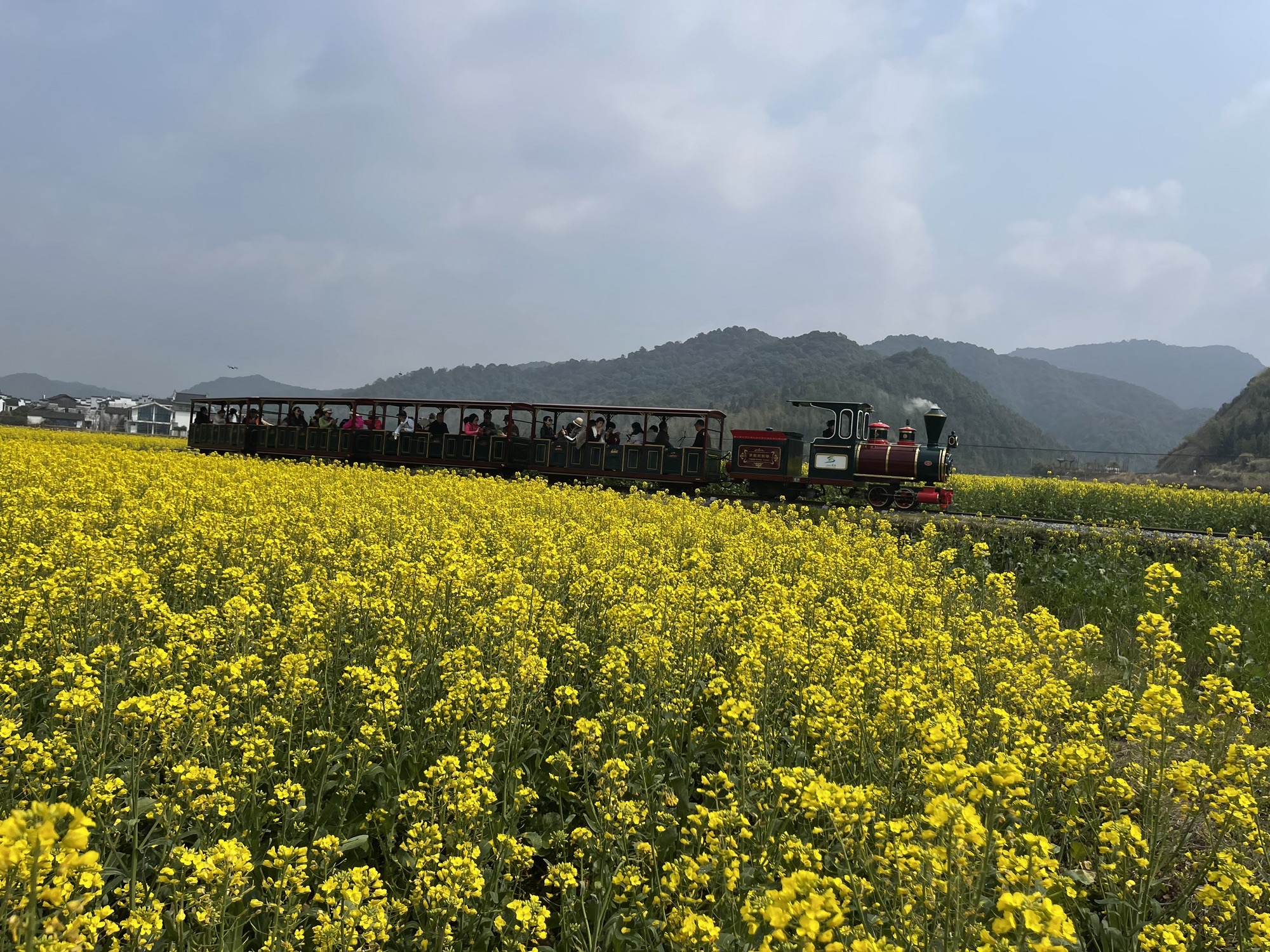 严田风景区旅行图片 3