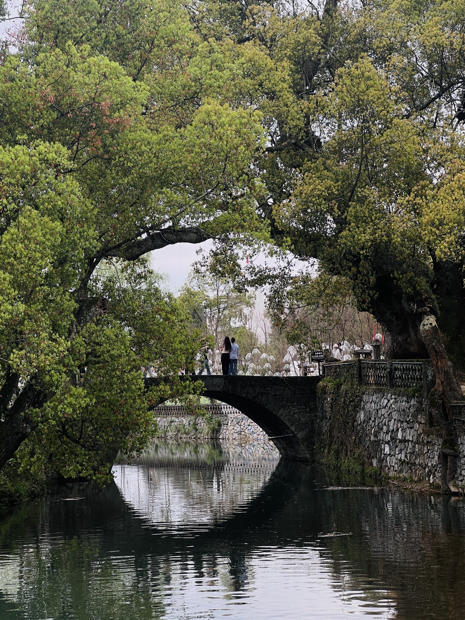 严田风景区旅行图片 1