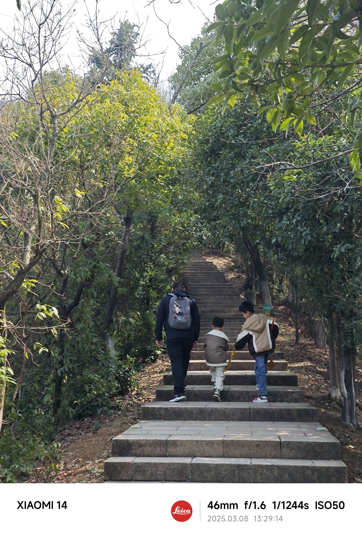 云碧峰国家森林公园旅行图片 3
