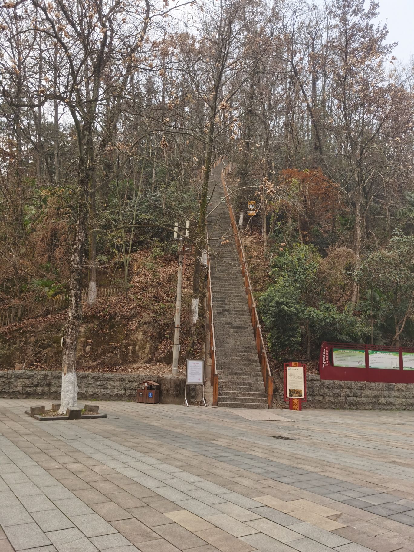 云碧峰国家森林公园旅行图片 2