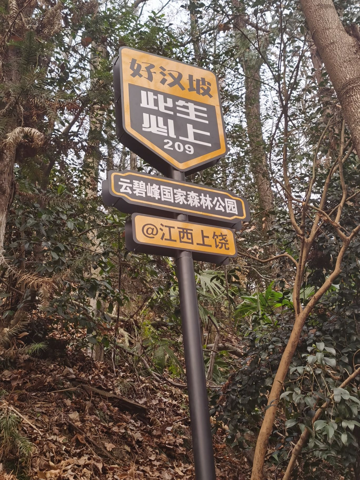 云碧峰国家森林公园旅行图片 1
