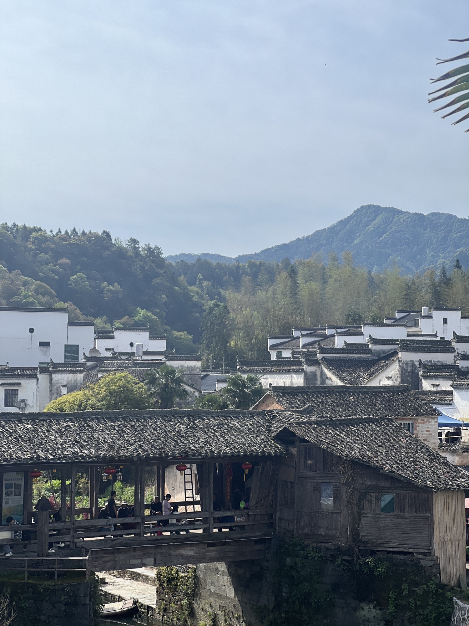 思溪延村景区旅行图片 3