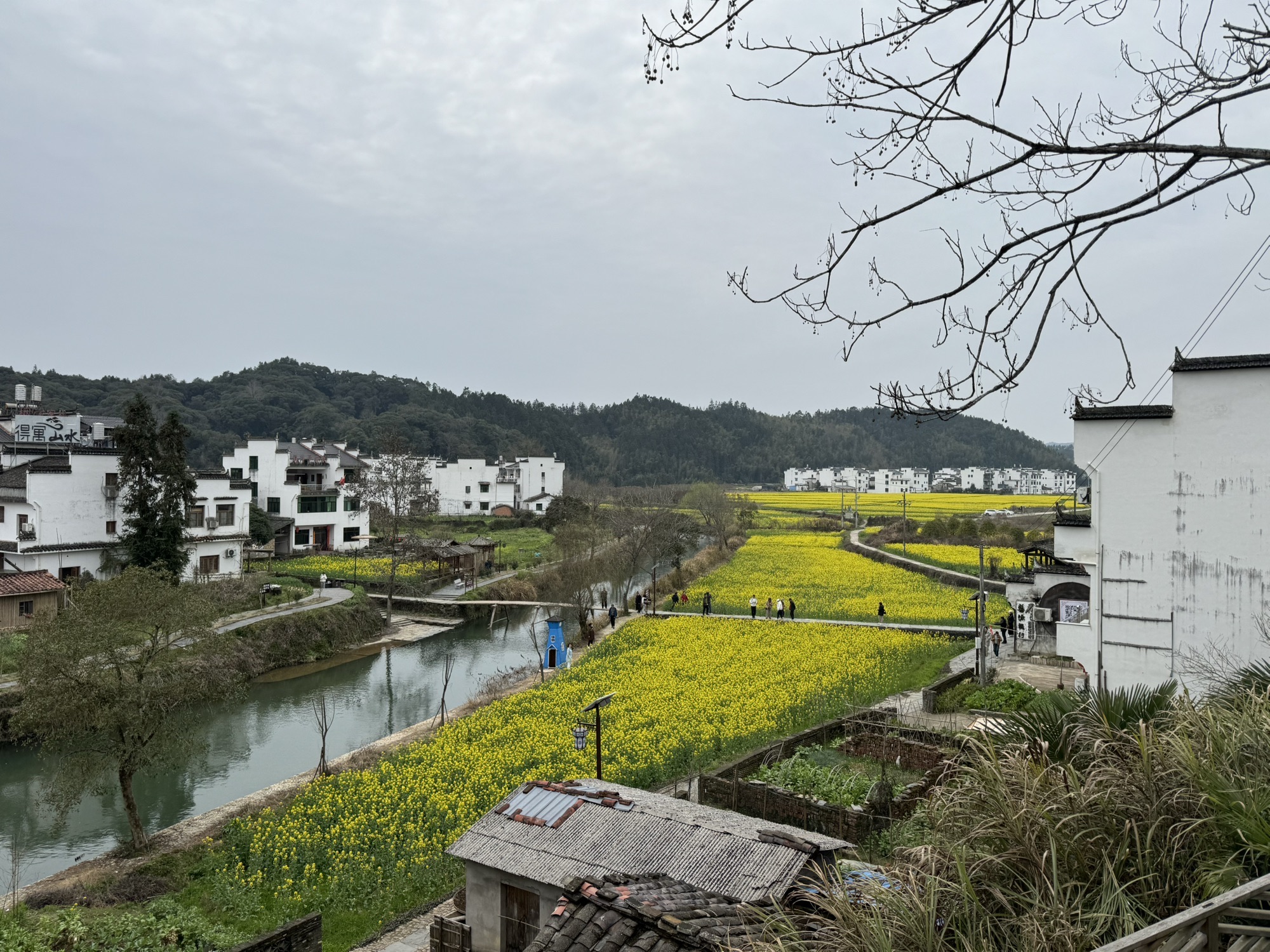 思溪延村景区旅行图片 2