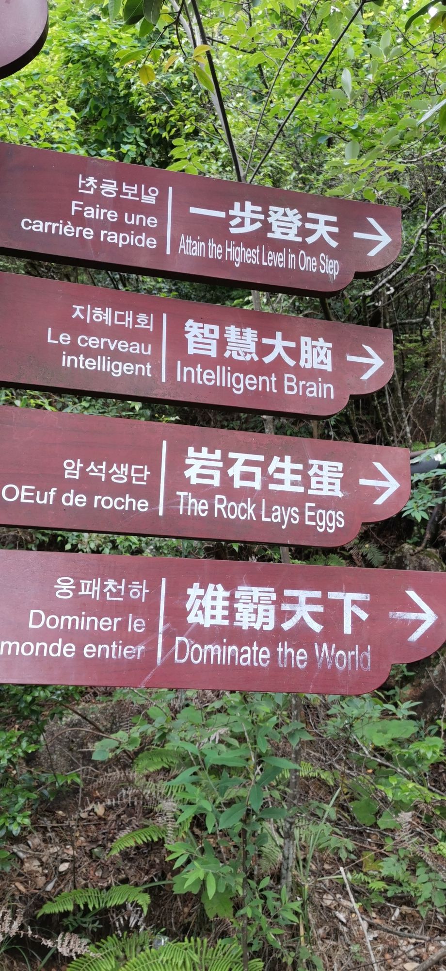 上饶灵山风景名胜区旅行图片 2