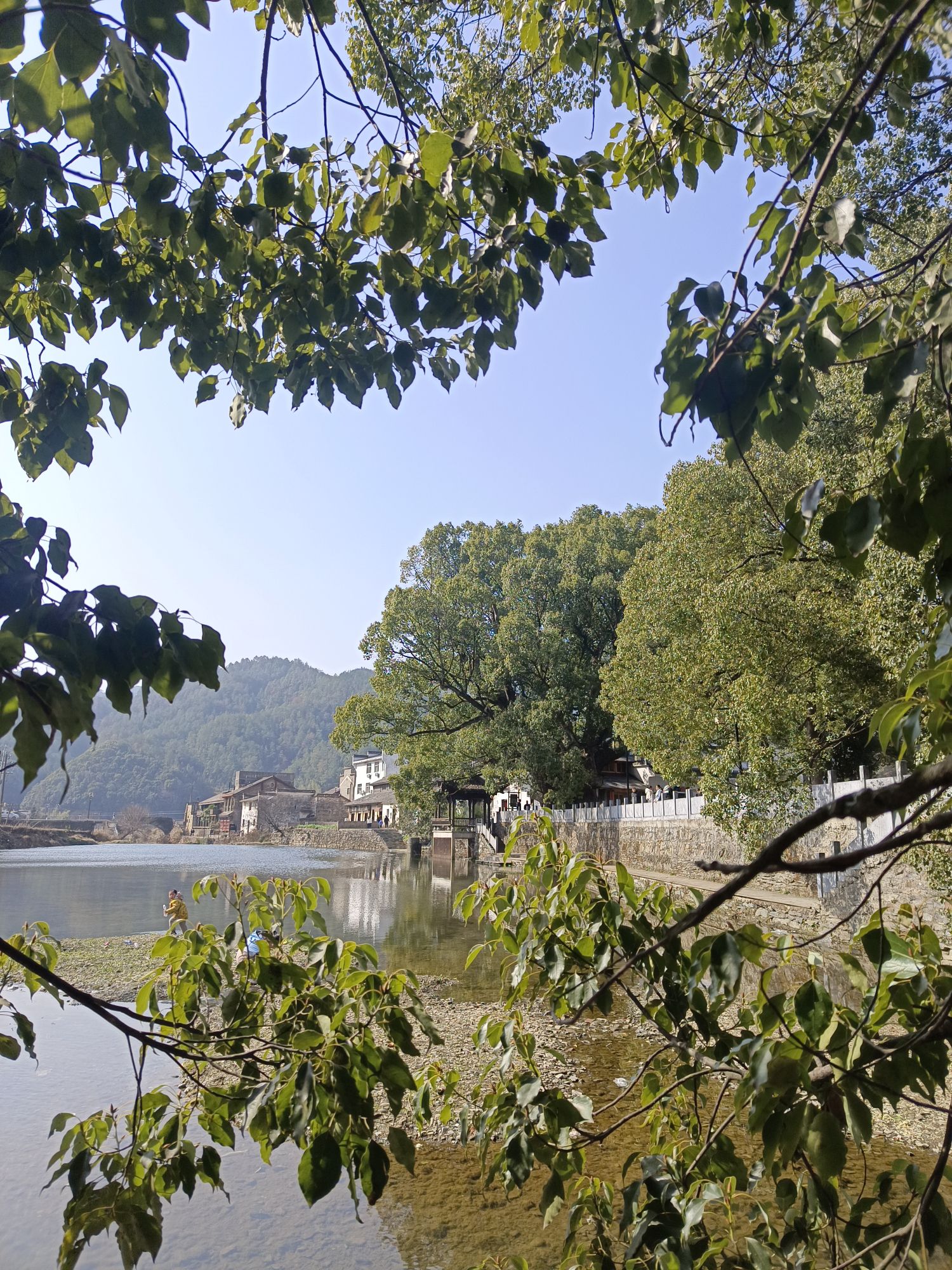 虹关旅行图片 3