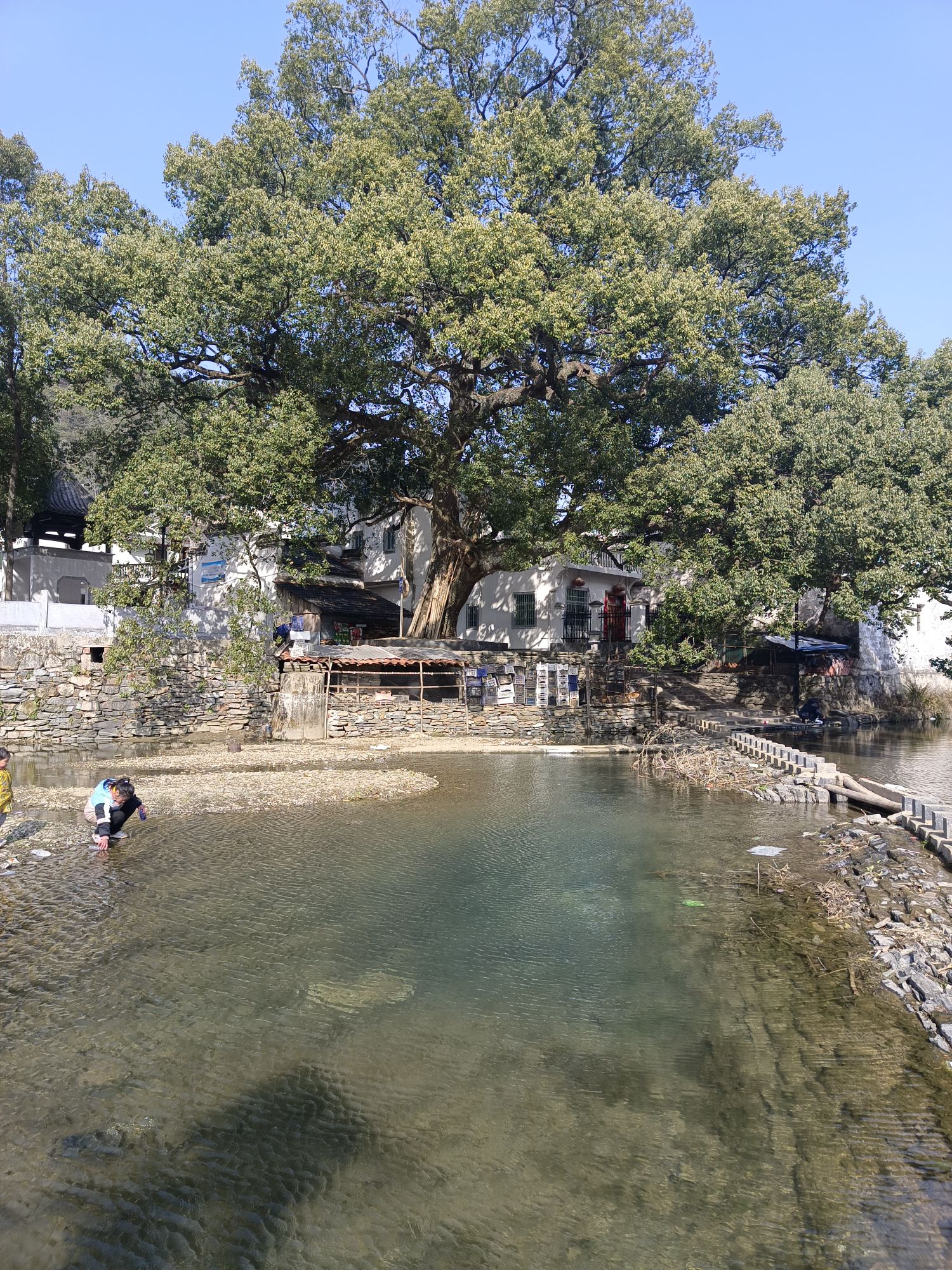 虹关旅行图片 2