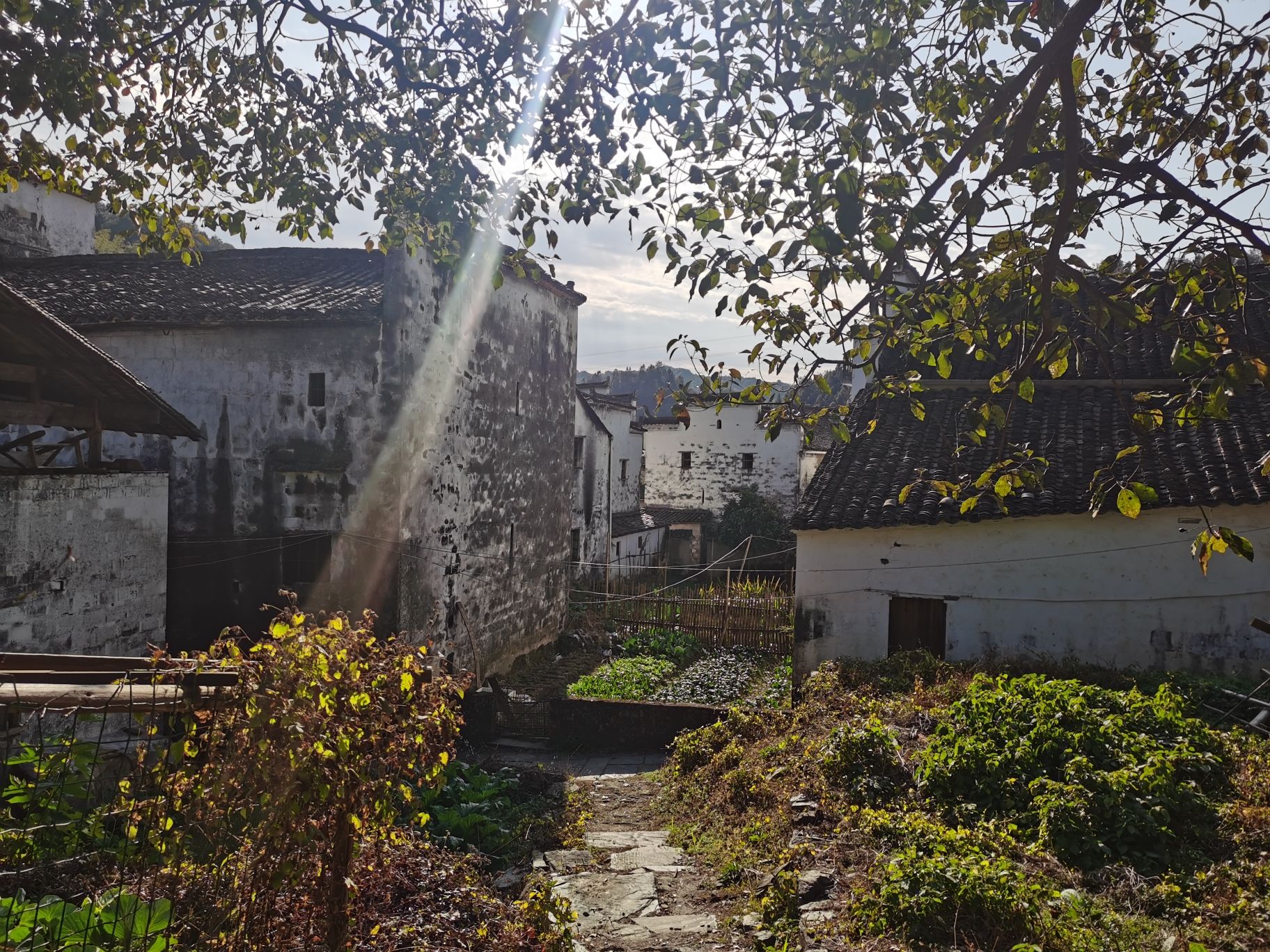 洪村旅行图片 2