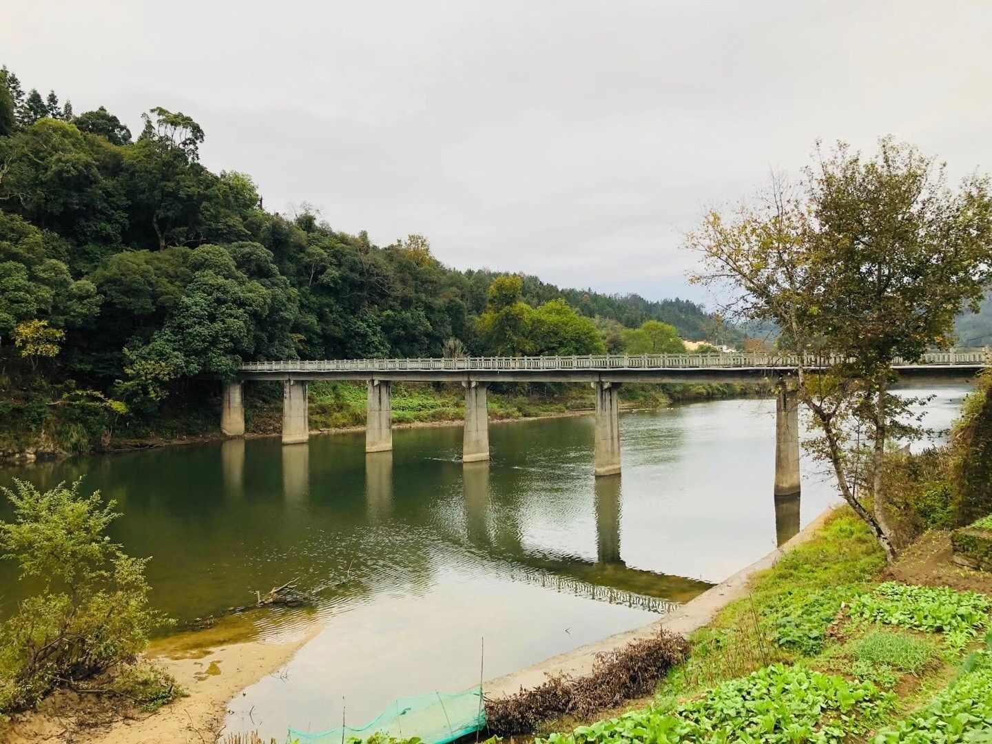 汪口景区旅行图片 2