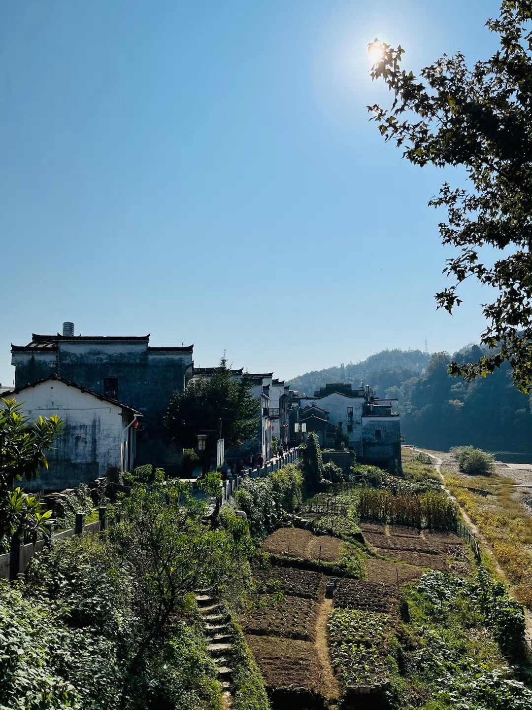 汪口景区旅行图片 3