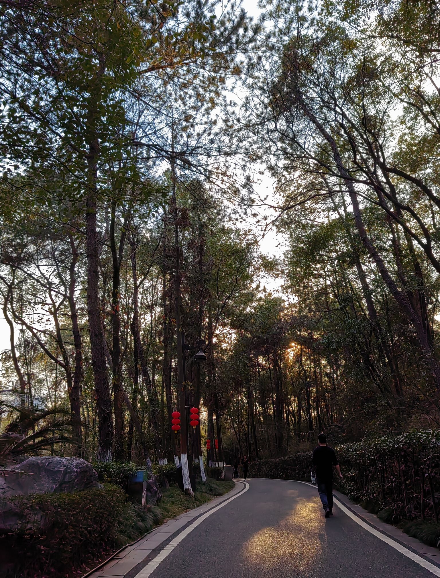 龙潭湖公园旅行图片 1