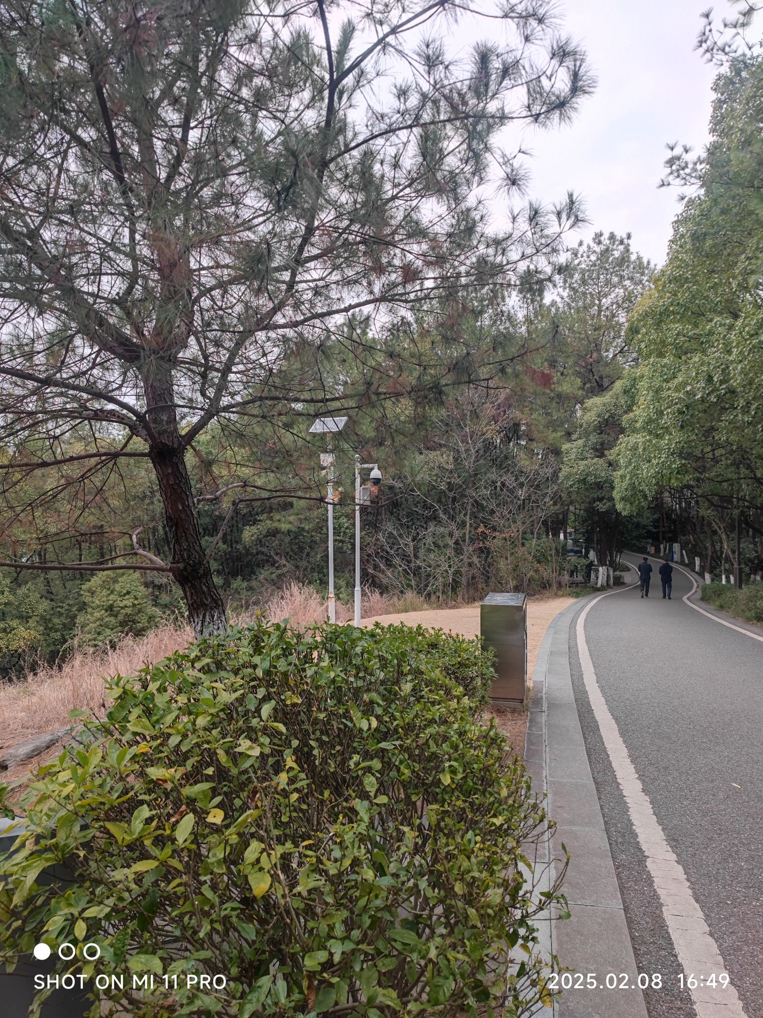 龙潭湖公园旅行图片 1
