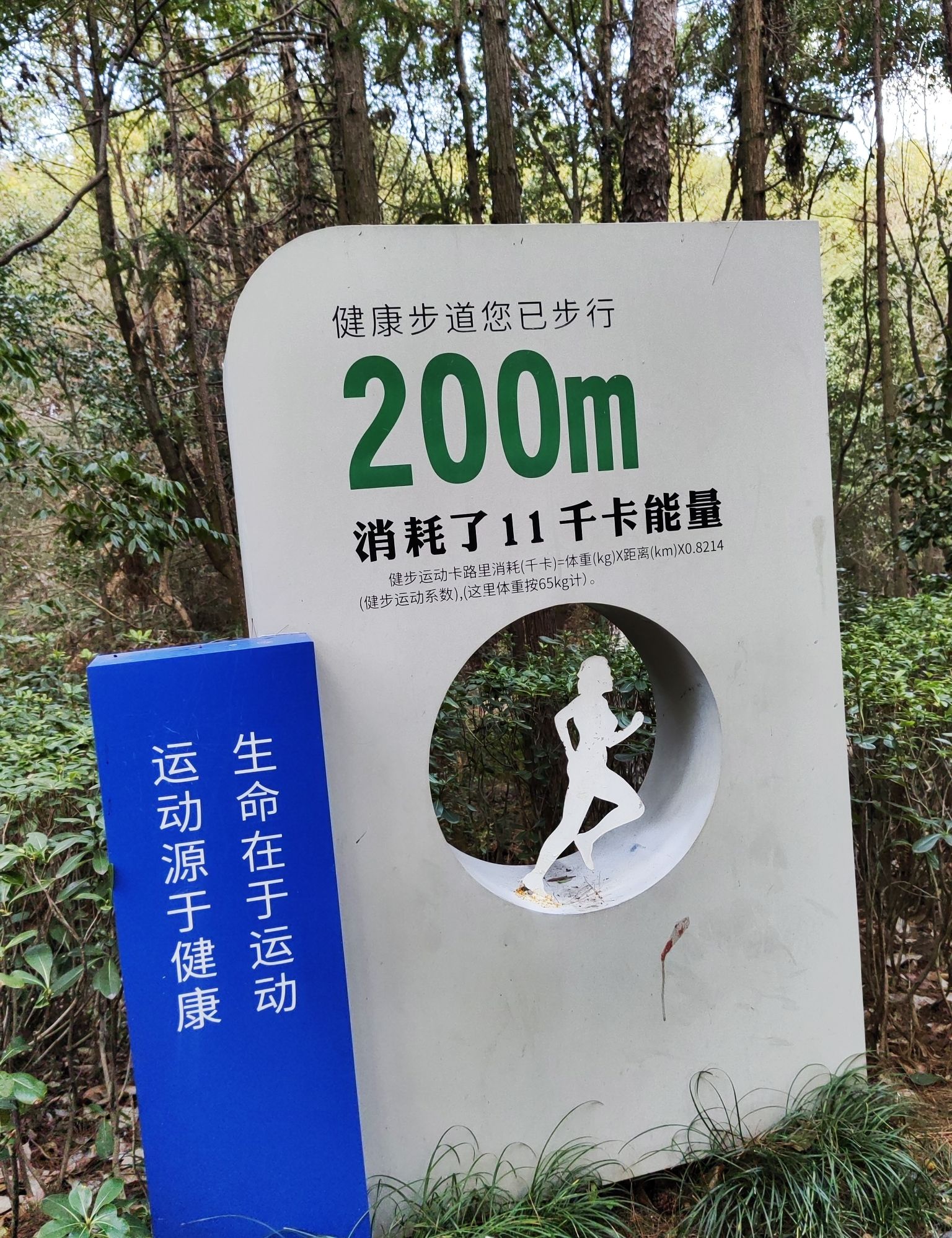 龙潭湖公园旅行图片 2