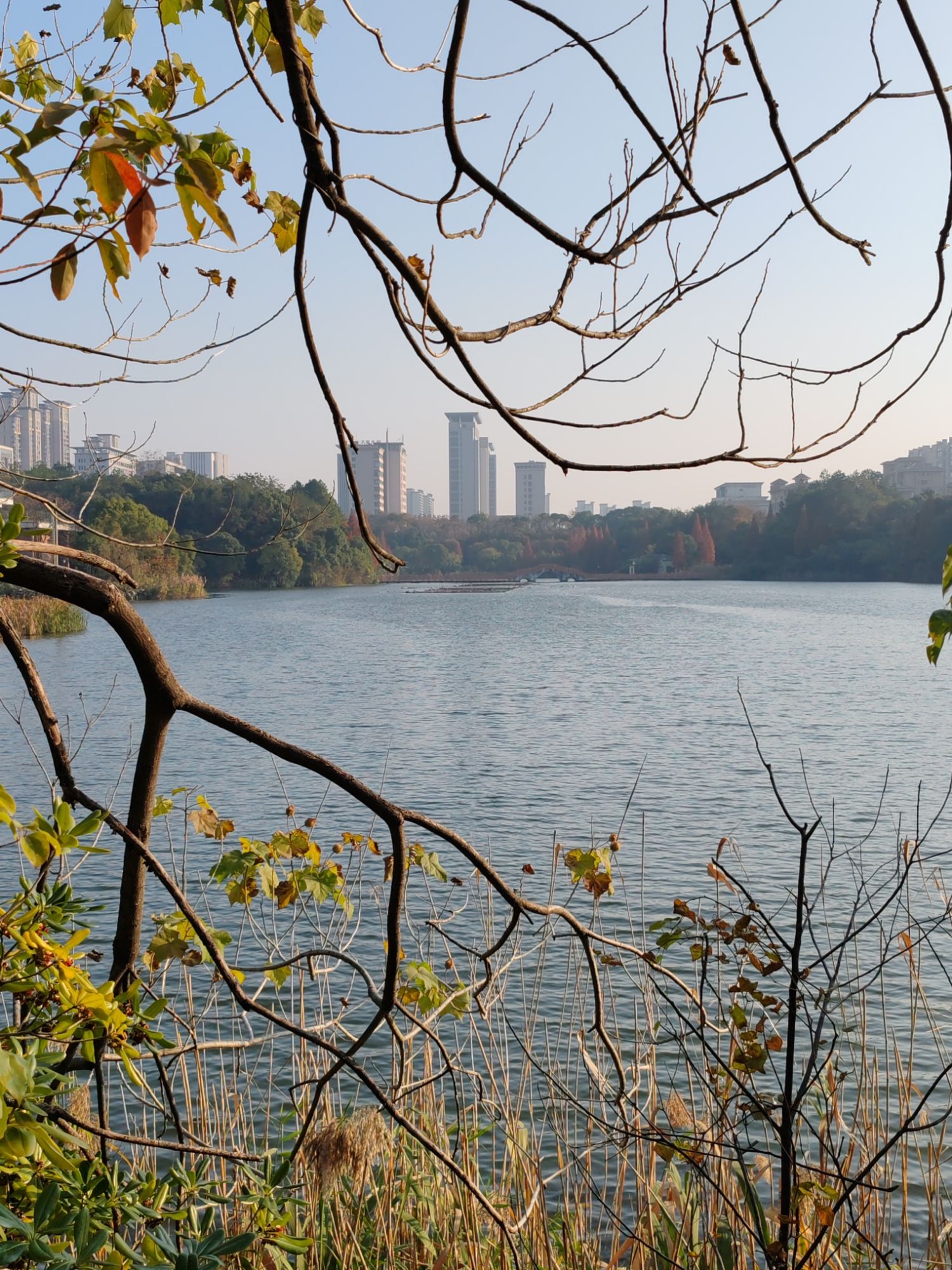 龙潭湖公园旅行图片 2