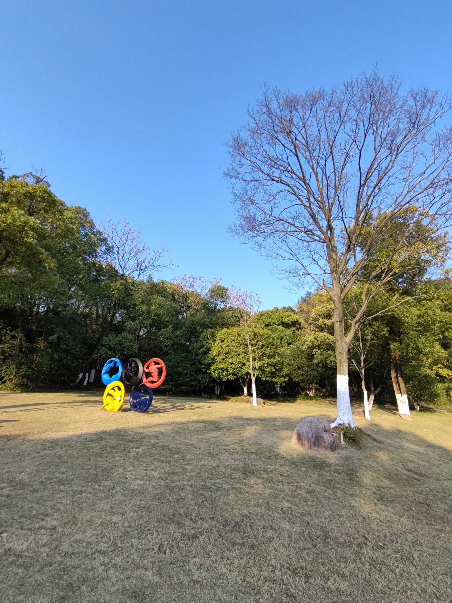 龙潭湖公园旅行图片 3