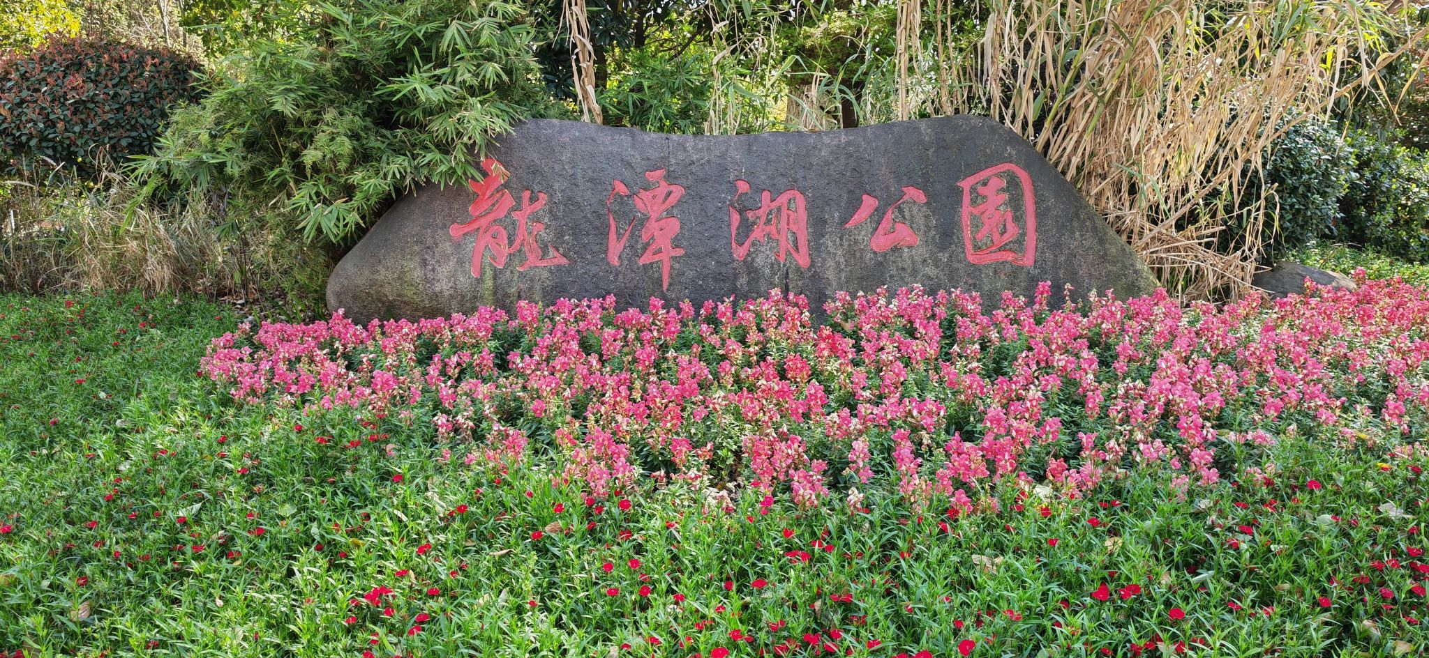 龙潭湖公园