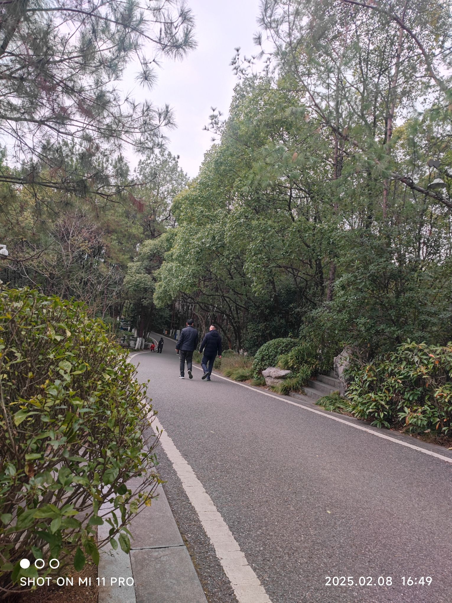 龙潭湖公园旅行图片 3