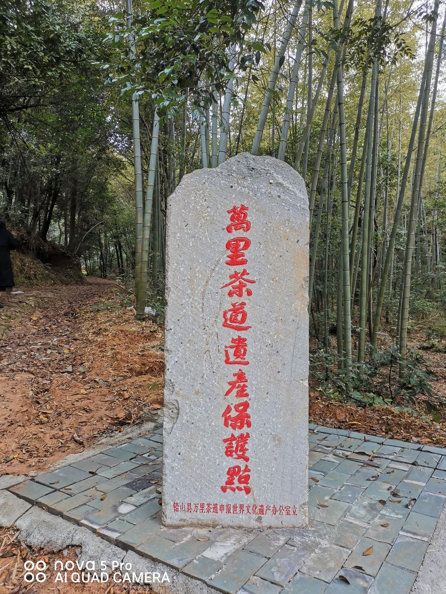 鹅湖山旅行图片 1