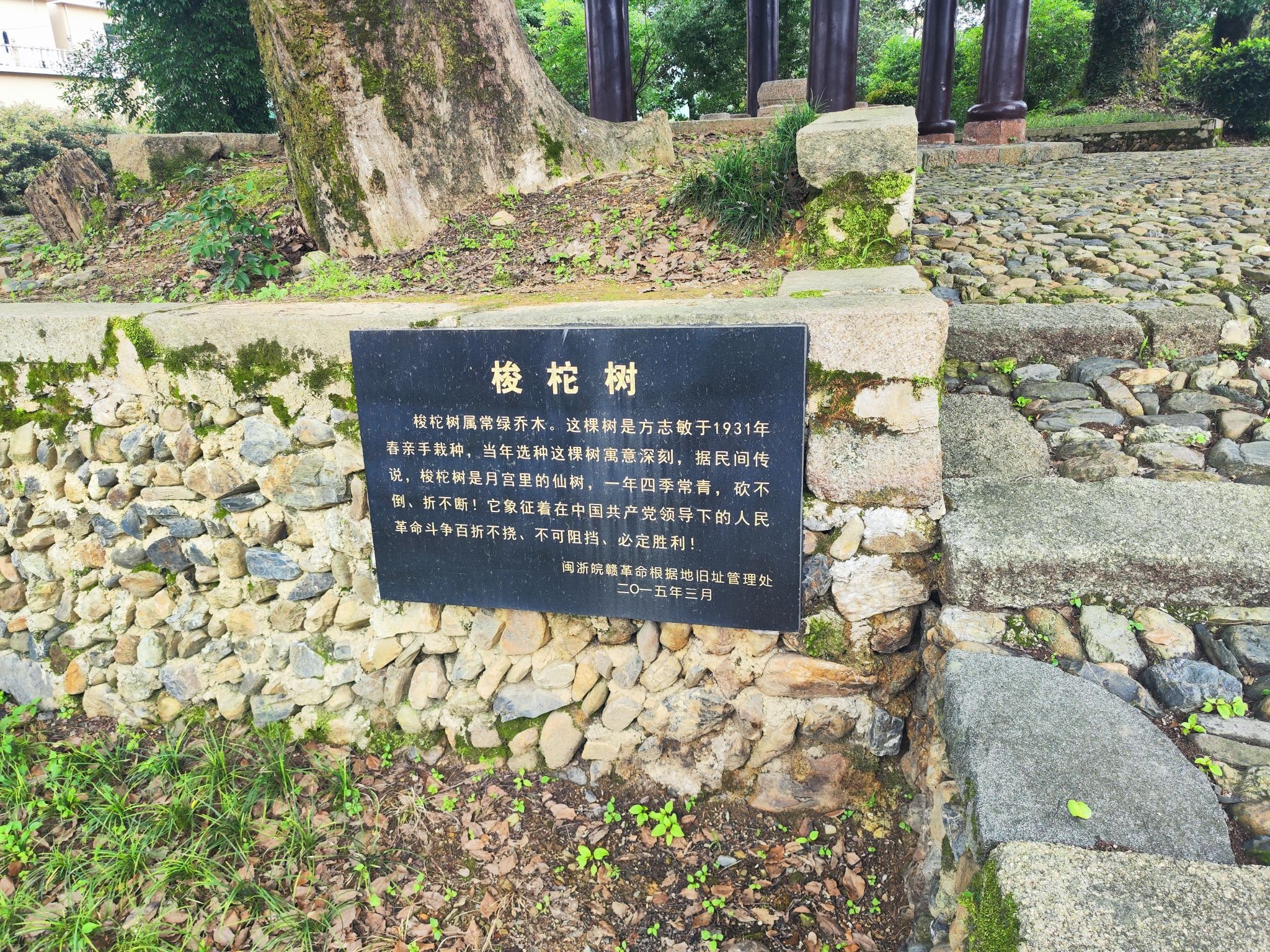 列宁公园旅行图片 2